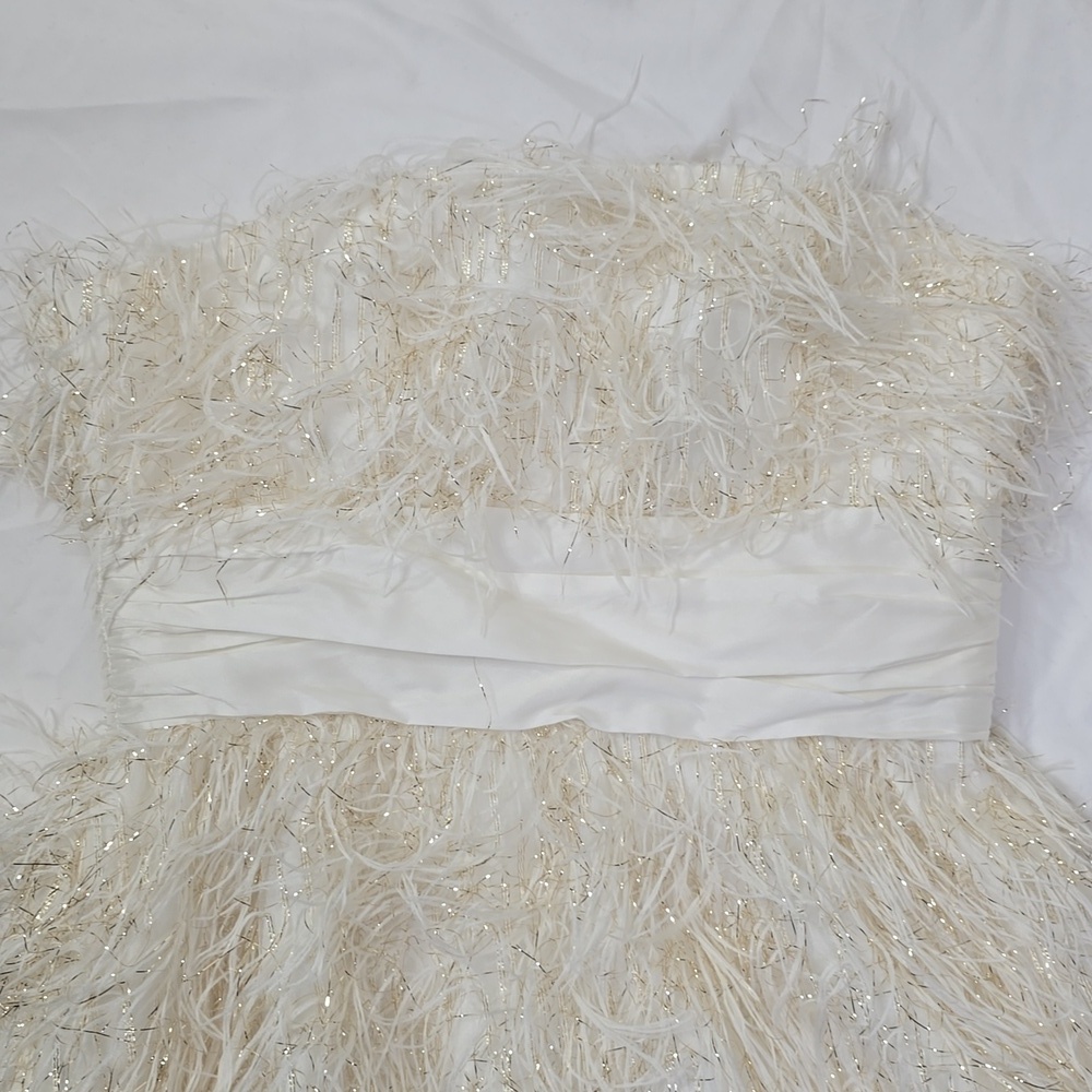 Jaygodfrey Elegant Rami Faux Feather Trimmed Strapless  Mini Dress Size 4. - Picture 5 of 14